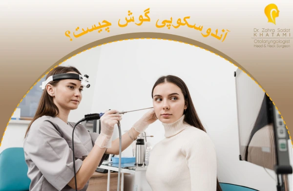 ear endoscopy